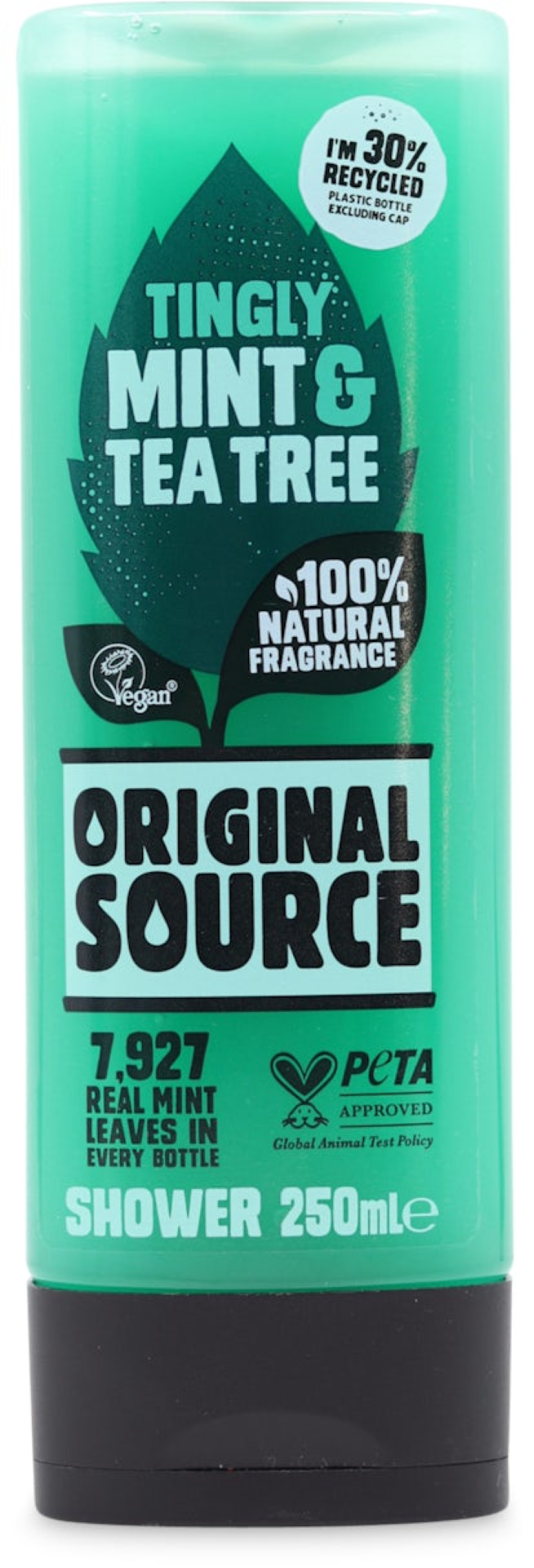 ORIGINAL SOURCE S/GEL 250ML